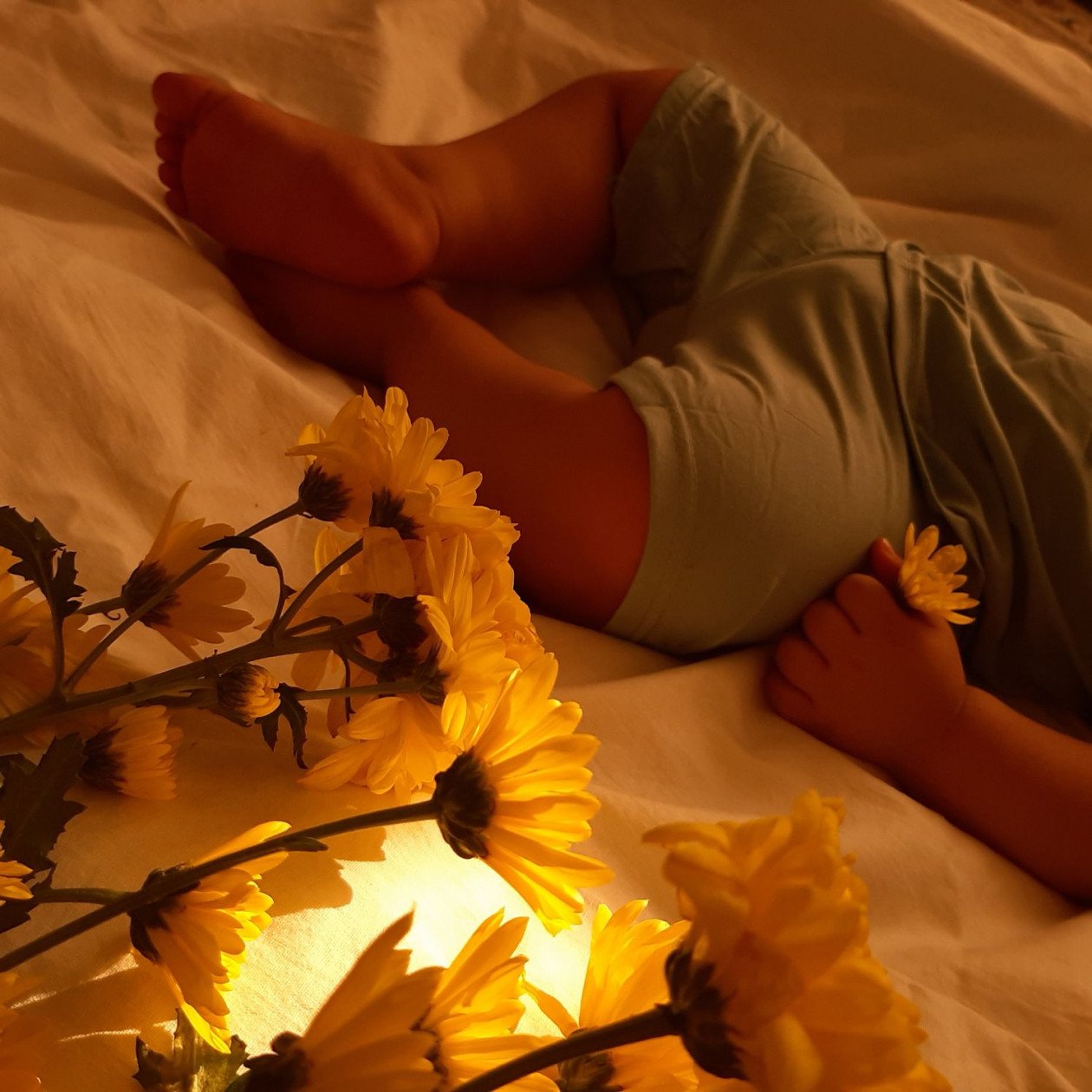 سیزده ماهگی کودک الوین معرفت