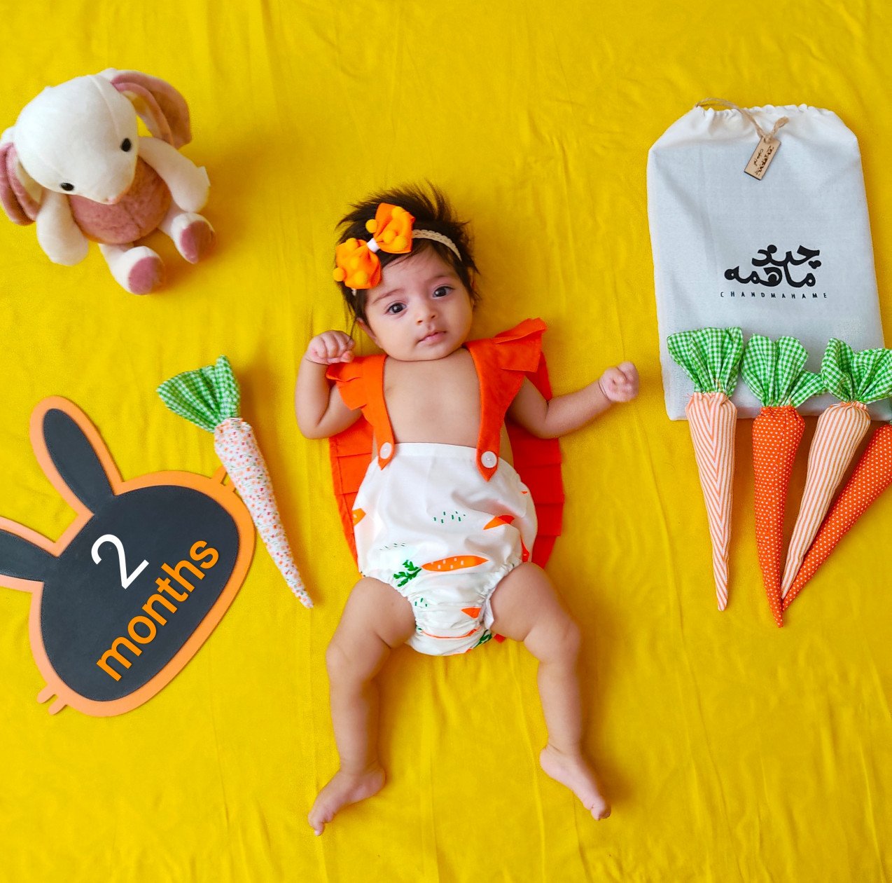 تخته سیاه خرگوشی دلاریس امراللهی