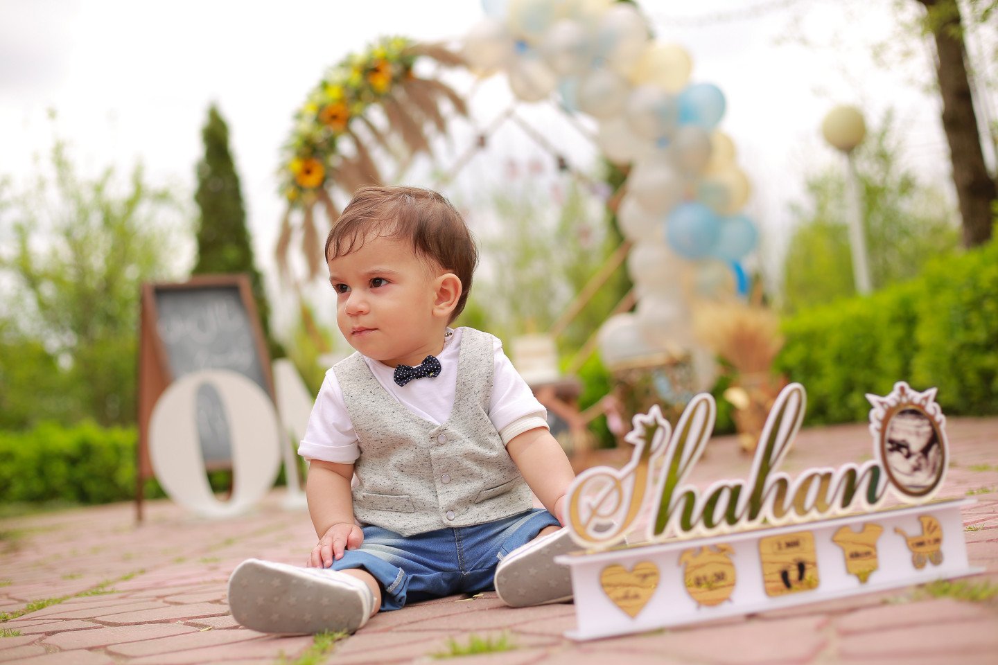 تولد یک سالگی کودک شاهان نجف پور