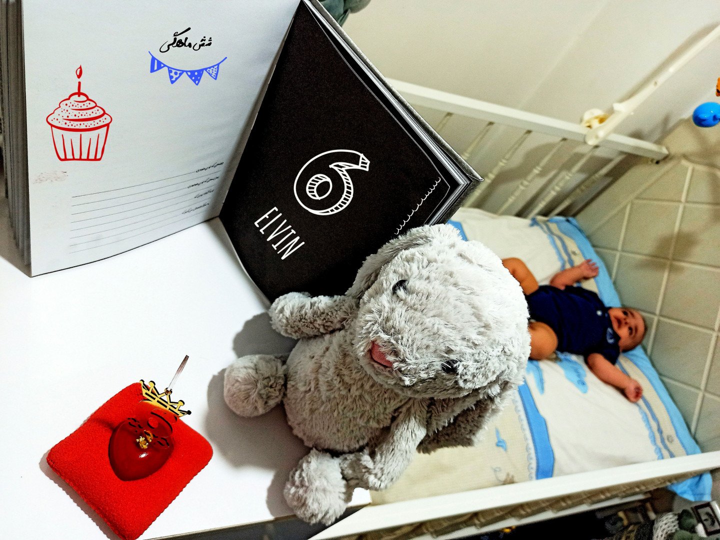 شش ماهگی نوزاد ائلوین ملازاده
