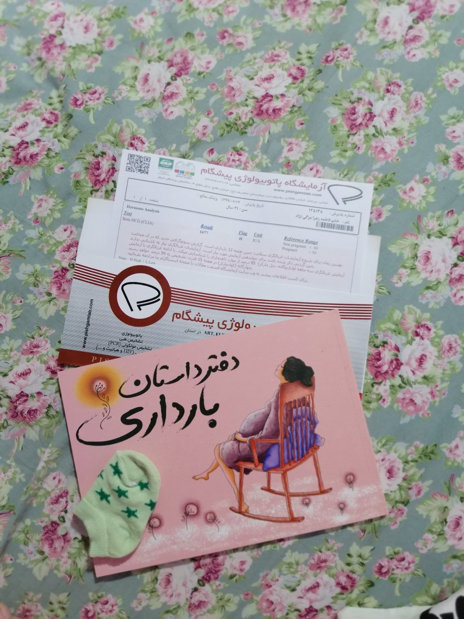 دفتر داستان بارداری حلما ملک آبادی