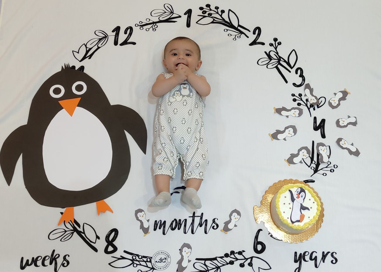 پارچه ماهگرد طرح حلقه تمشک طاها