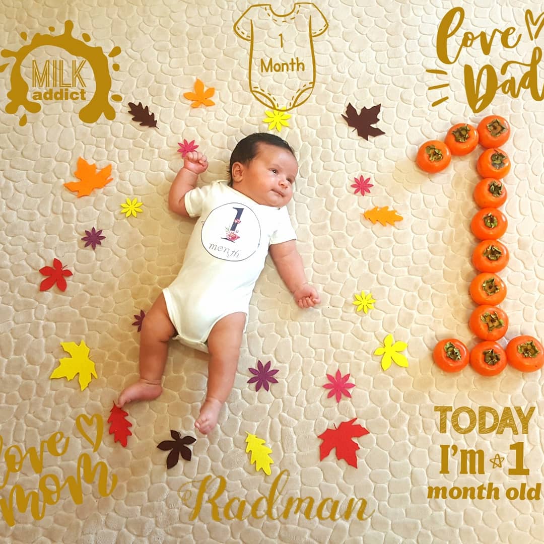 تم-و-تزیینات-نمدی-طرح-گل-و-برگ-41352