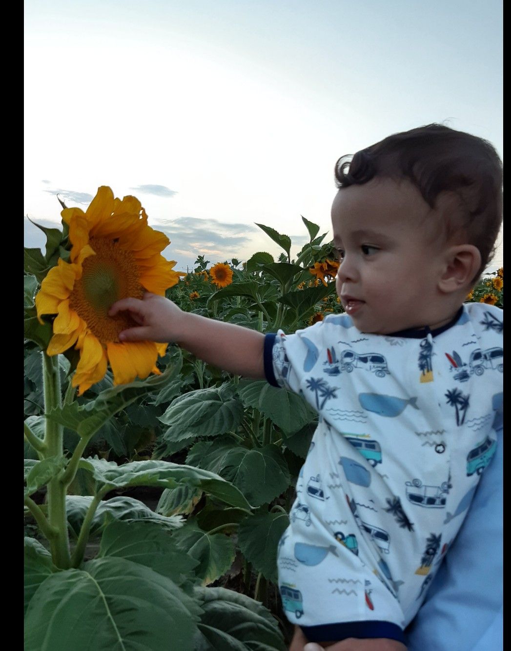 مسابقه تابستان محمدحسین حسین پور