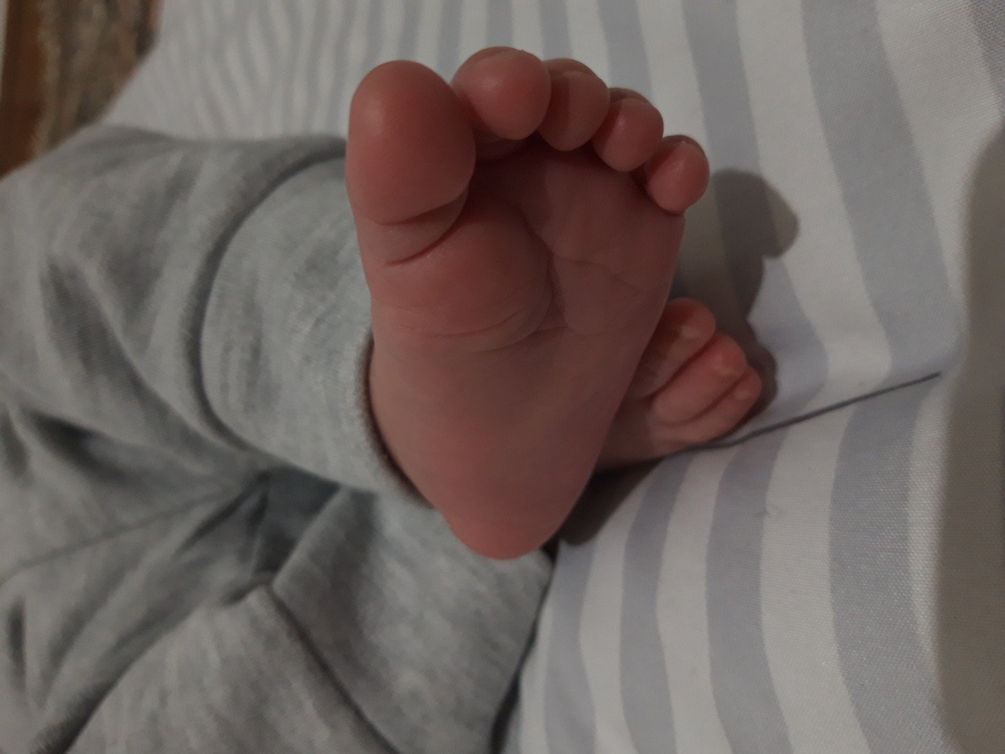 متولد شدن نوزاد پاشا صالحی