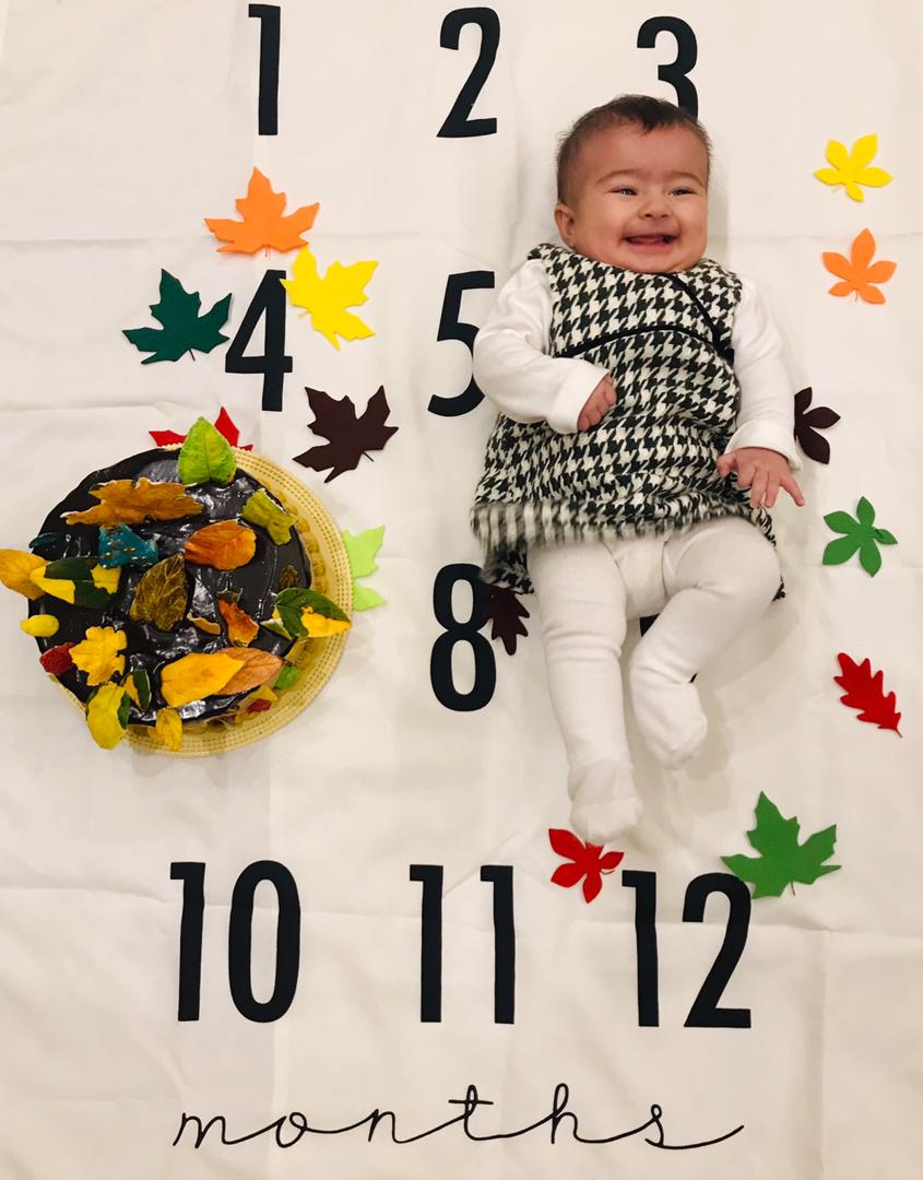 تم-و-تزیینات-نمدی-طرح-گل-و-برگ-25781