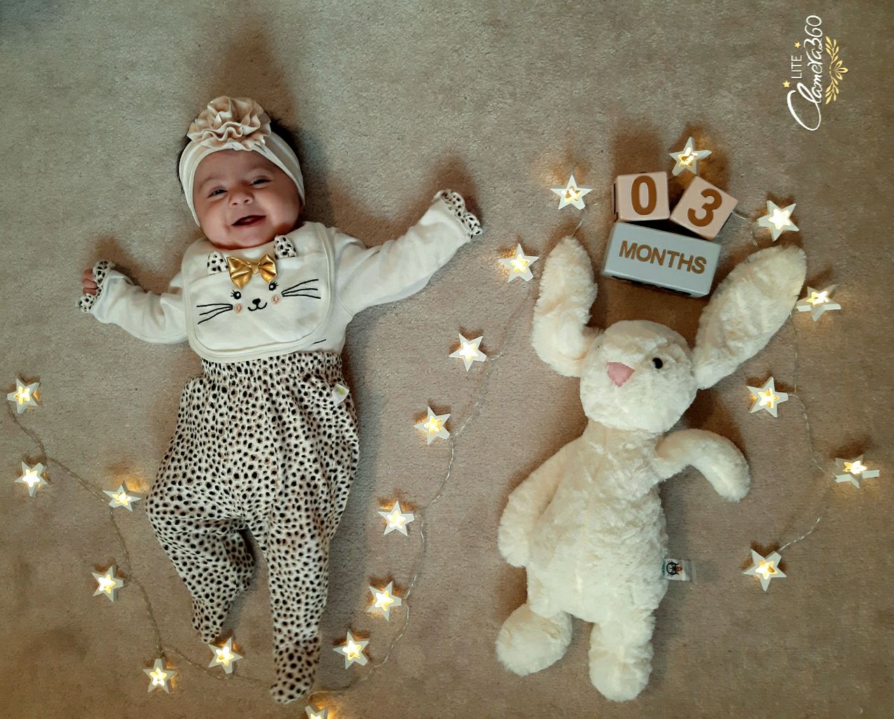 خرگوش بامزه رز امیرمحمدی