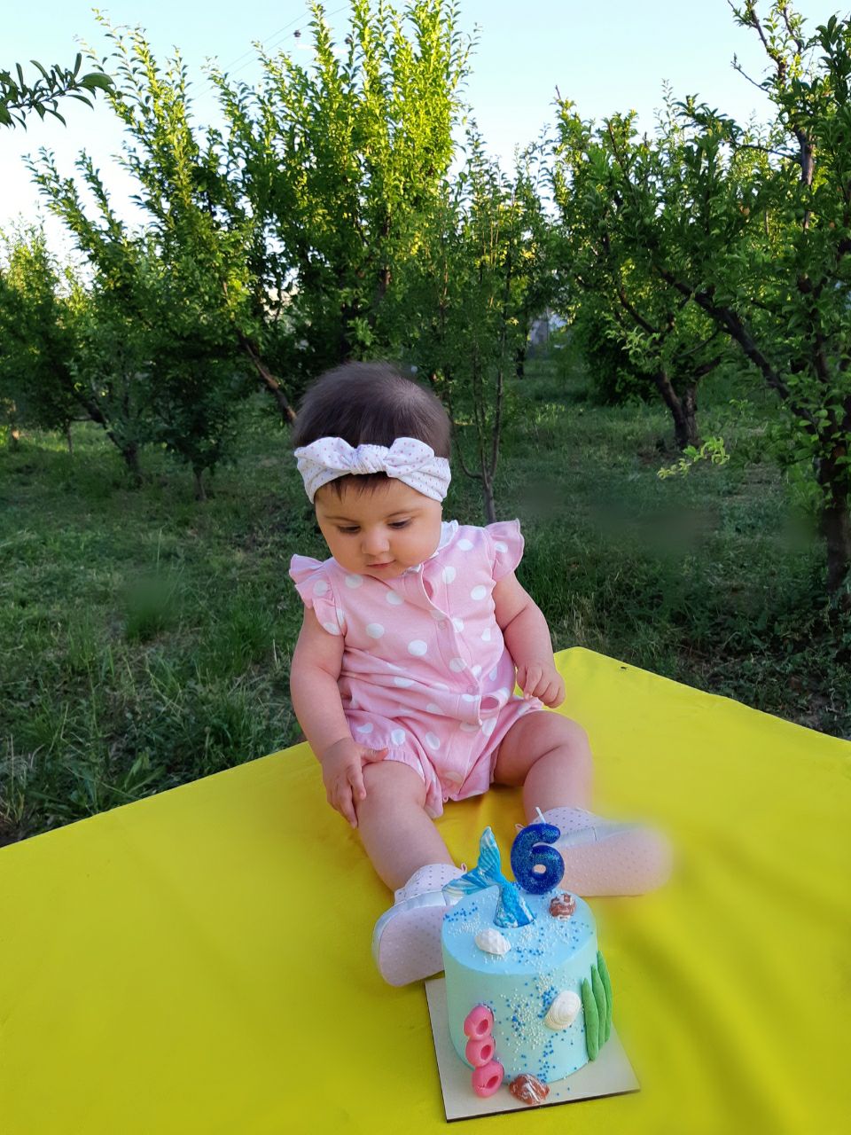 شش ماهگی نوزاد رز امیرمحمدی