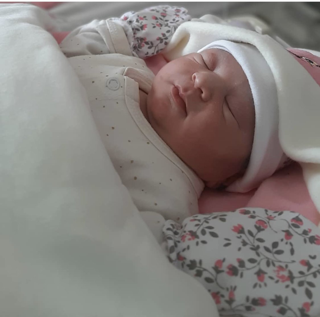 متولد شدن نوزاد سوگل جعفری