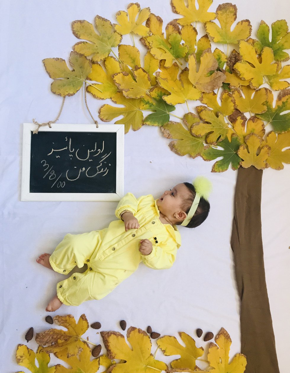 هفت ماهگی نوزاد هلنا