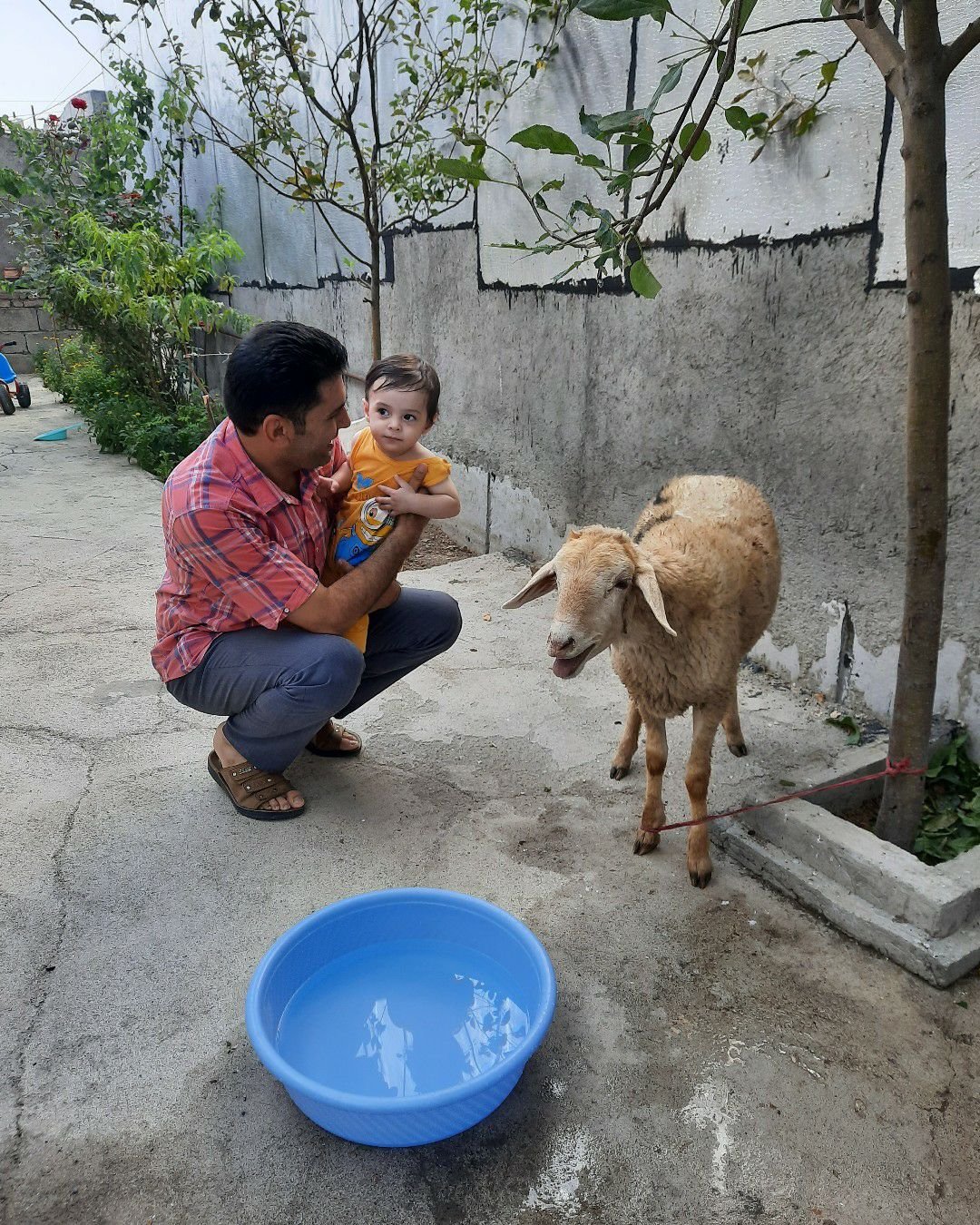 یازده ماهگی نوزاد آریا حیدری