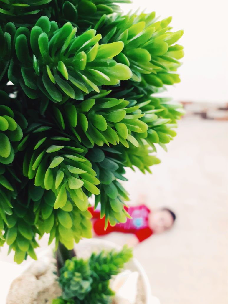 پنج ماهگی نوزاد حسین بهفر