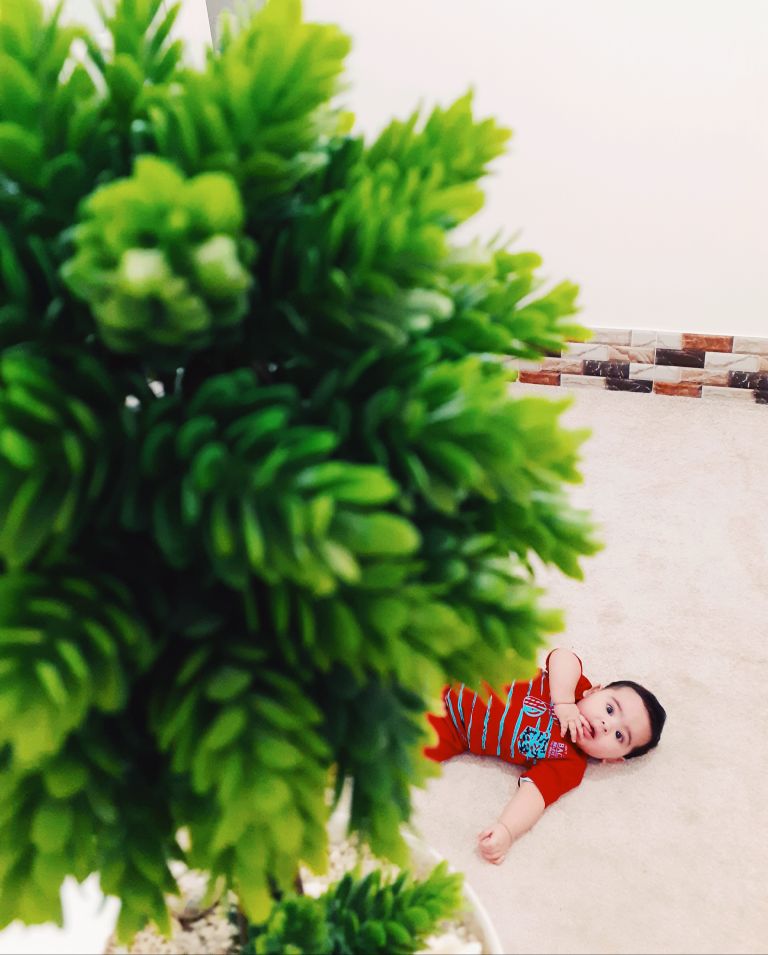 تم عکس بهاری کودک حسین بهفر