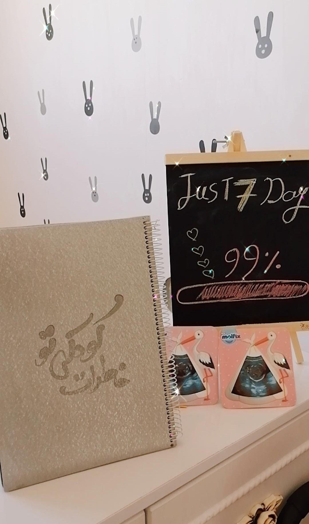 بارداری دلوین شاپورجانی