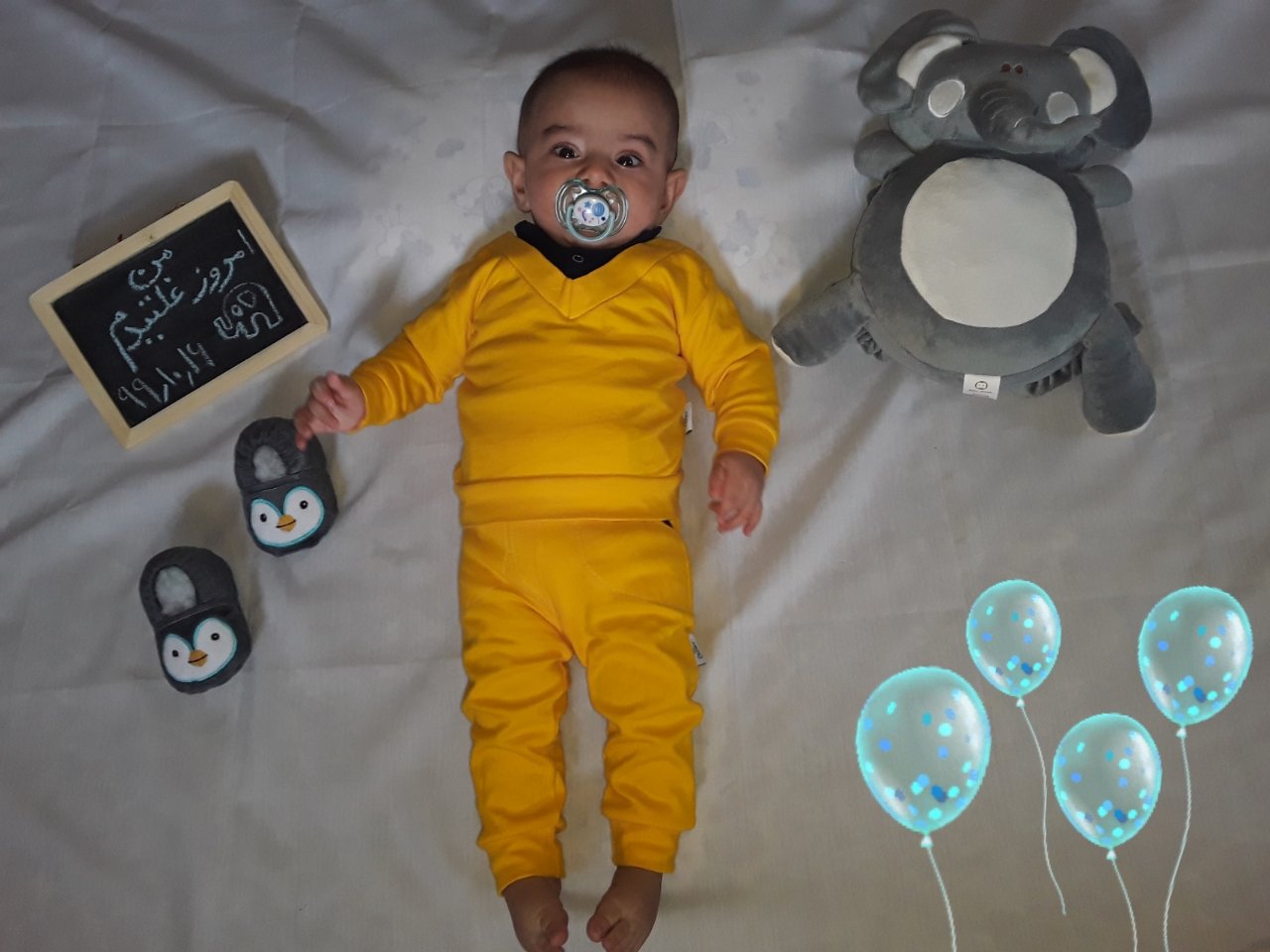 غواص-کوچولو ارشام دهقان