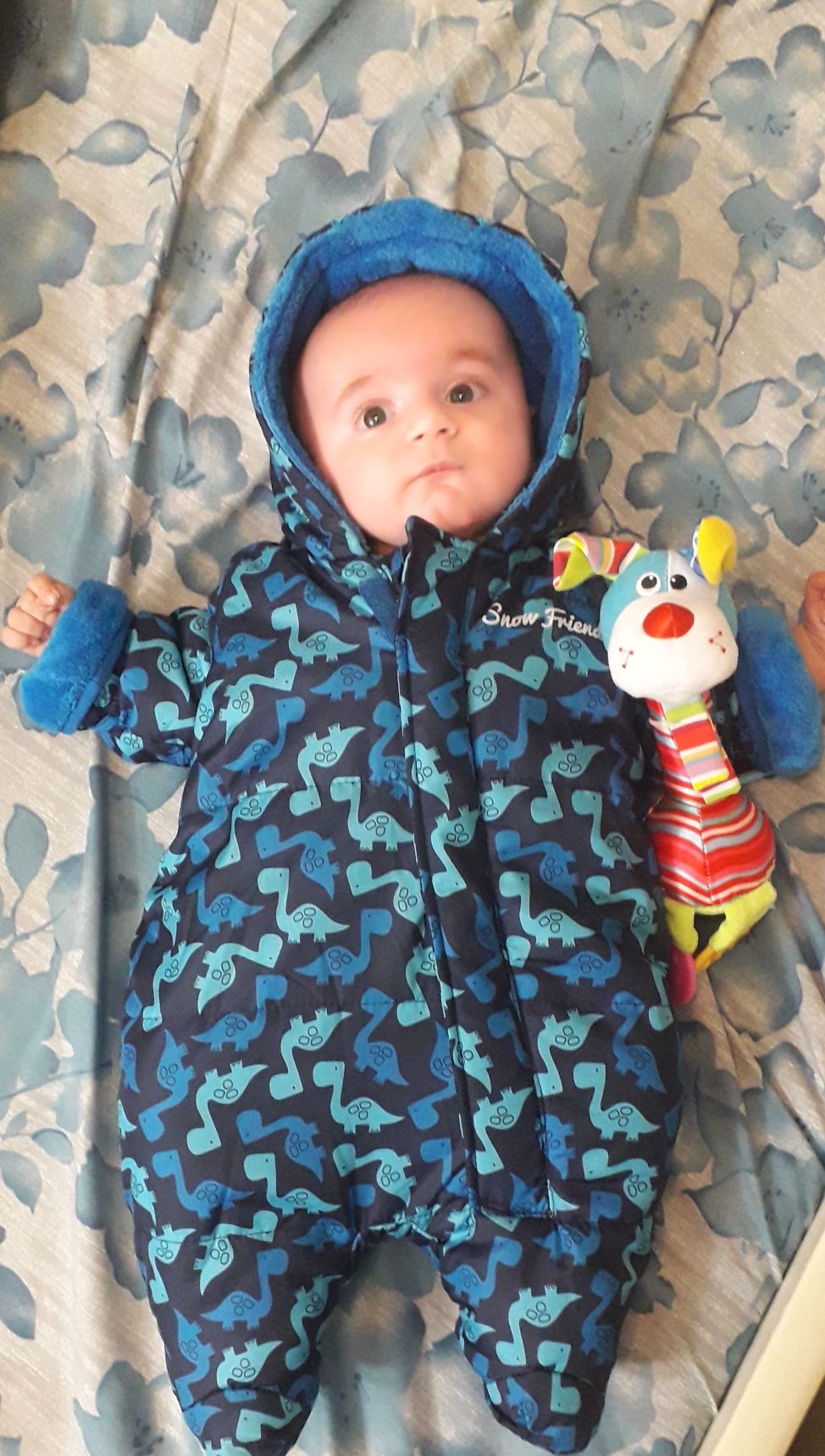 تم عکس زمستانی نوزاد barsam haghshenas