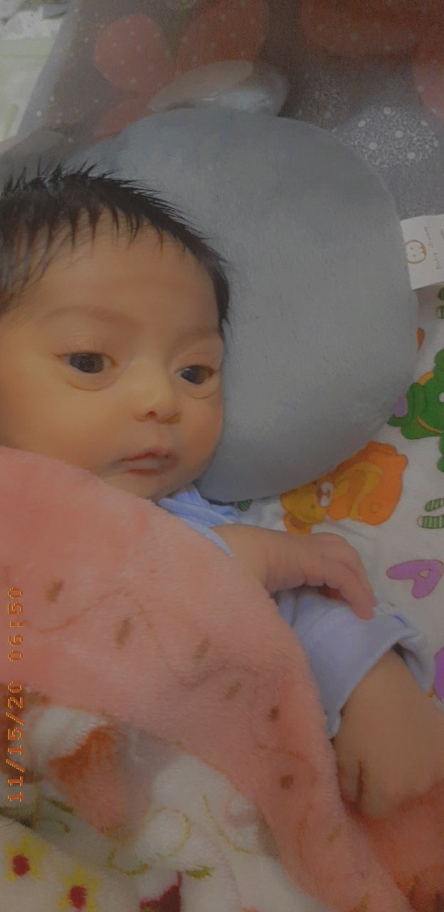 تم عکس زمستانی نوزاد سامان جانی زاده