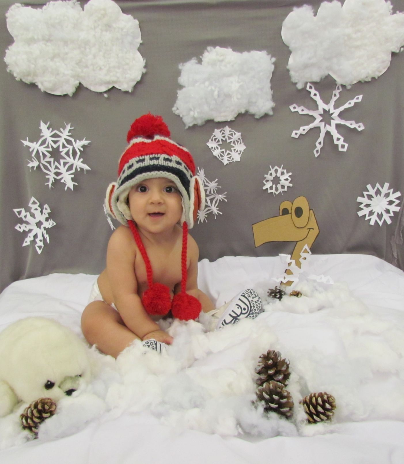 تم عکس زمستانی نوزاد ماکان مهرافروز