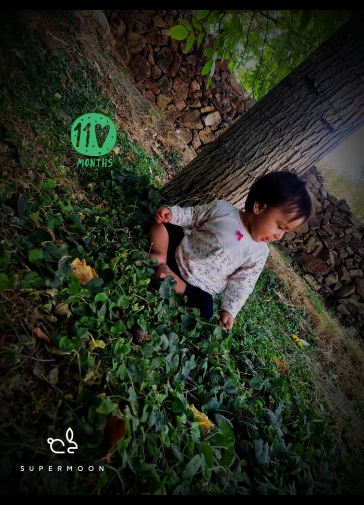 یازده-ماهگی mahdis zadehtaghi