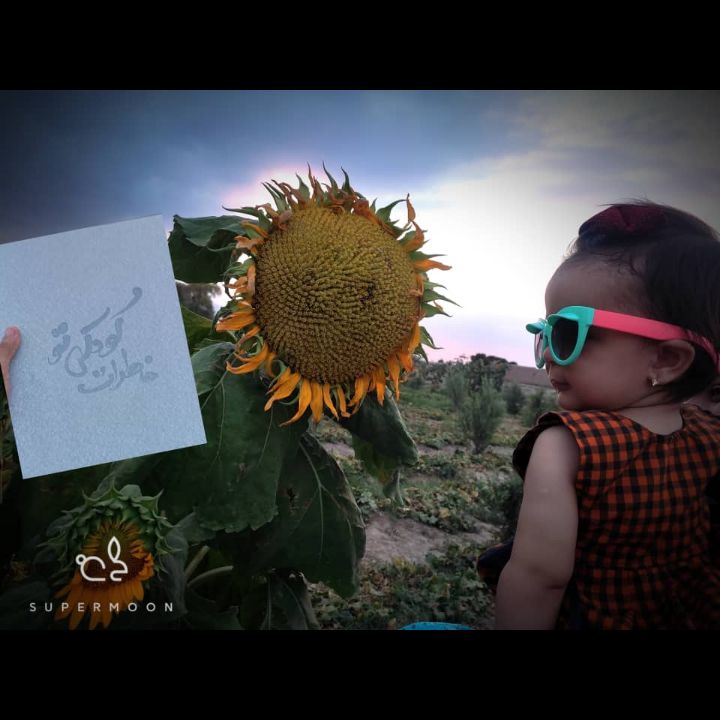 مسابقه تابستان mahdis zadehtaghi