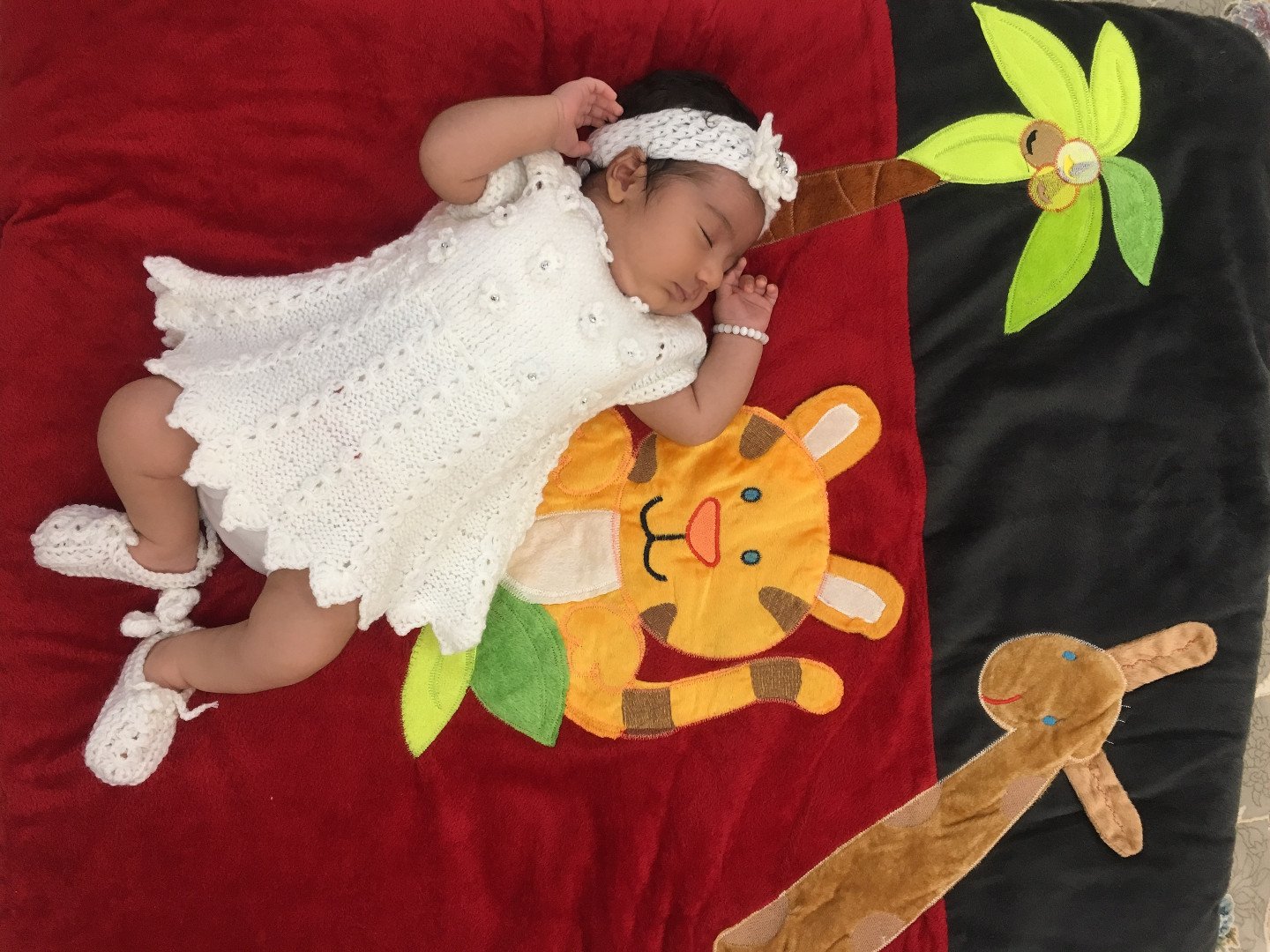 بارداری دلوین قلی نژاد