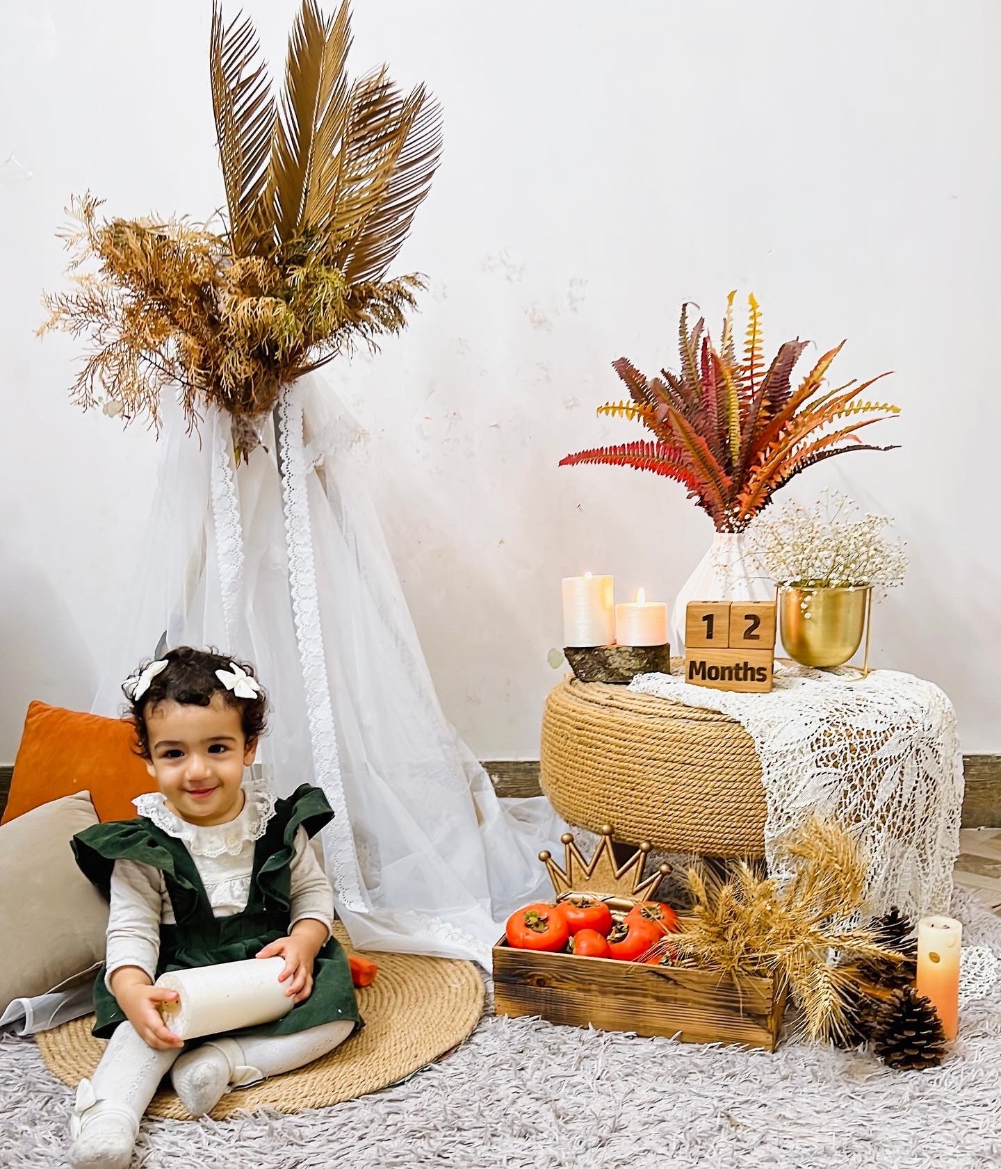 دوازده ماهگی نوزاد دلوین قلی نژاد