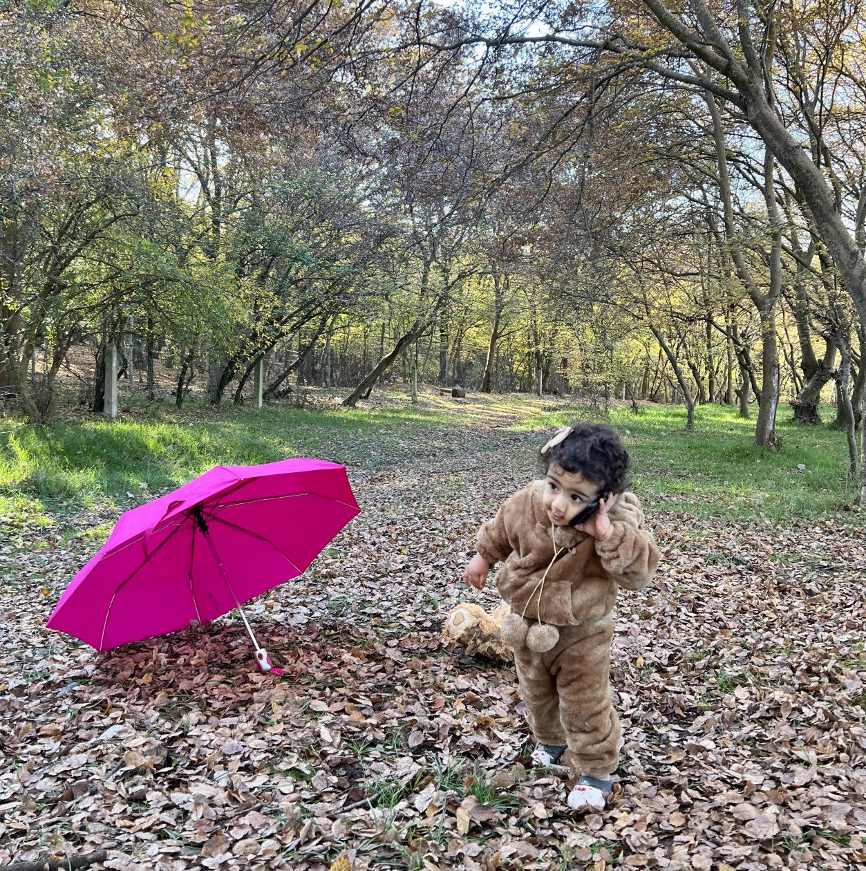 تم عکس پاییزی نوزاد دلوین قلی نژاد