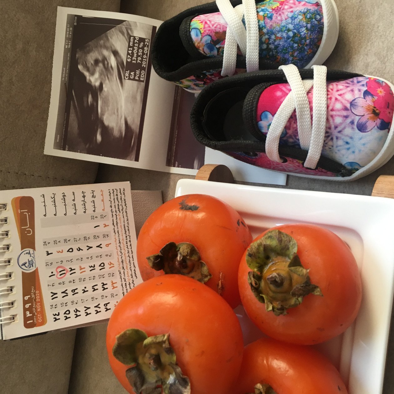 بارداری دلوین قلی نژاد