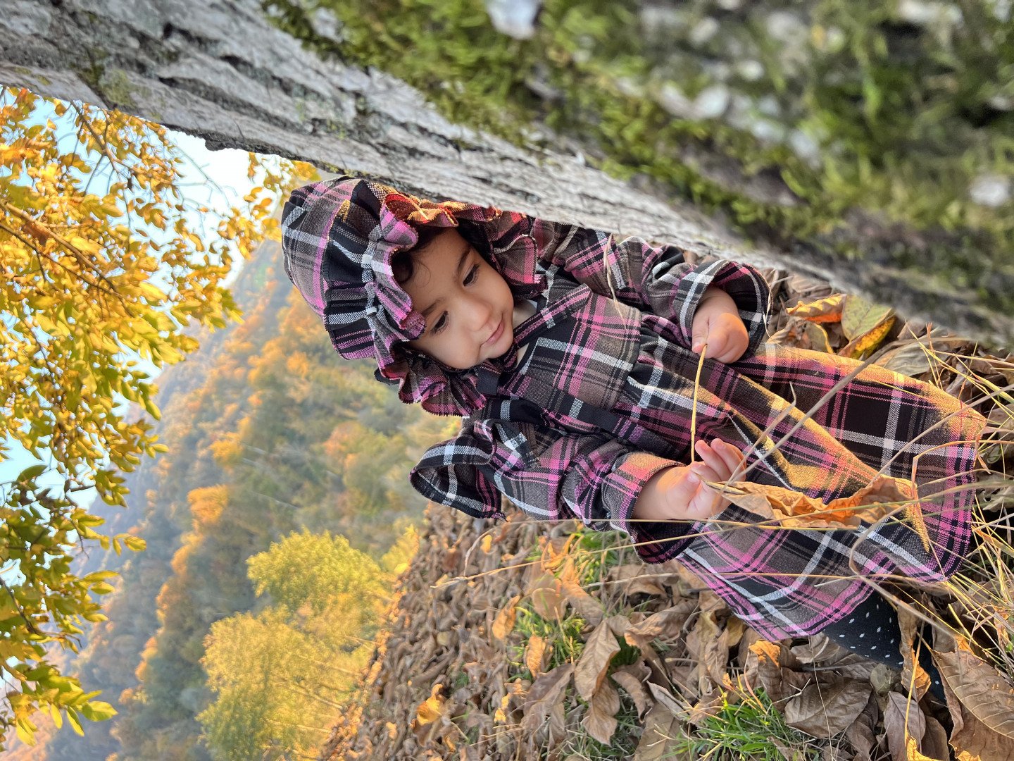 تم عکس پاییزی نوزاد دلوین قلی نژاد