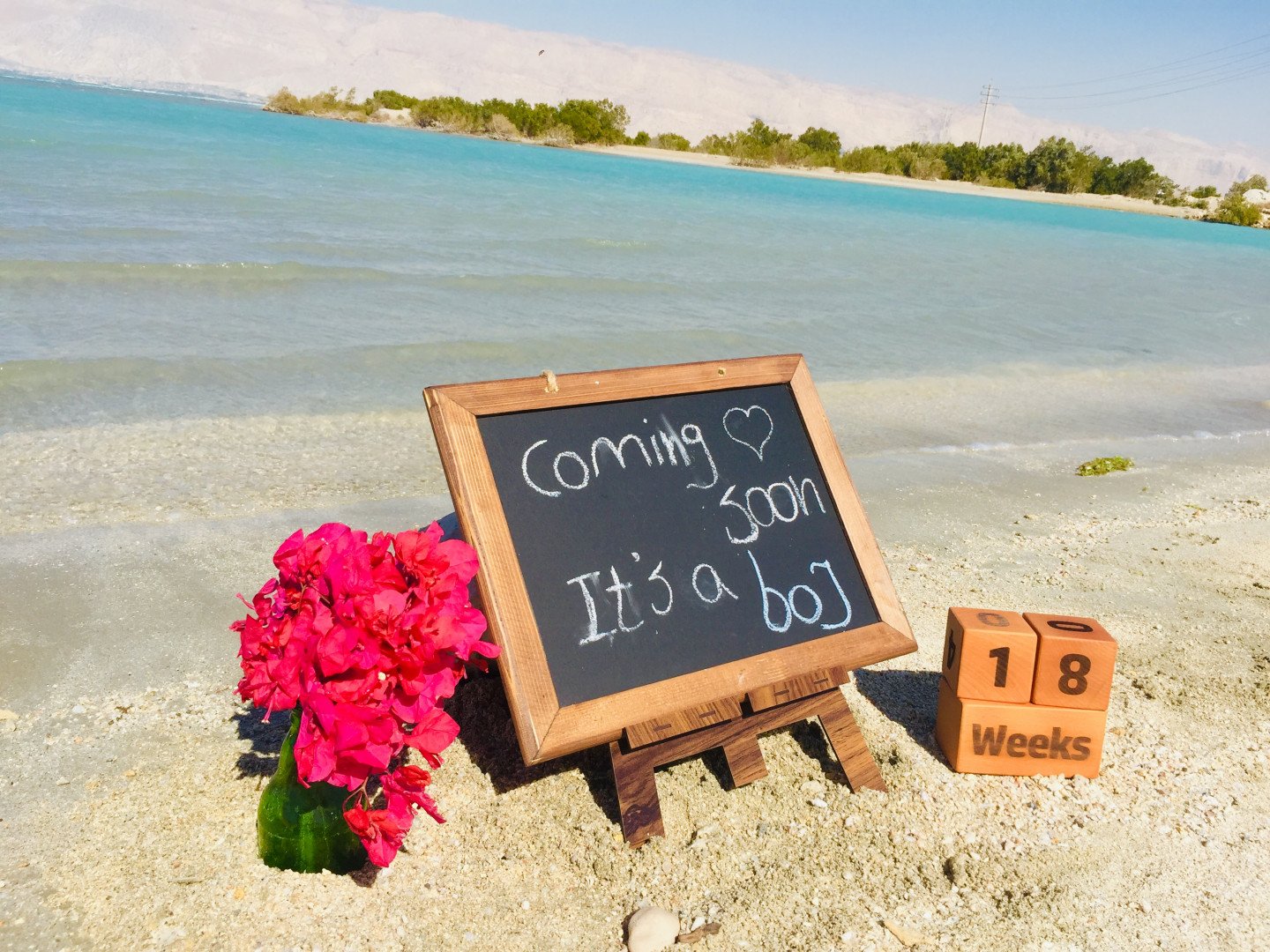 ماه پنجم بارداری محسن یداللهی