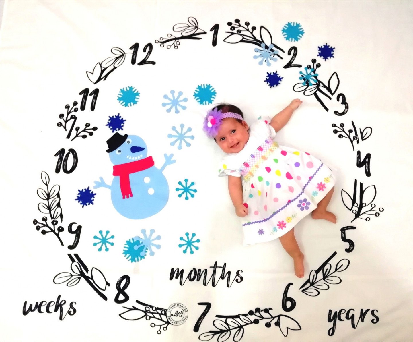 تم زمستانی آلا جعفری