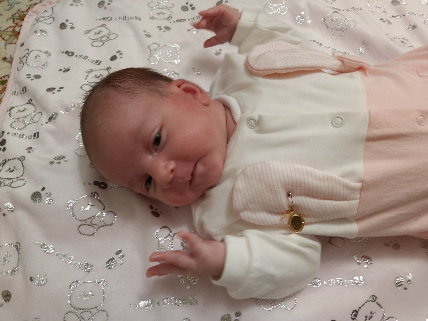 ماهگرد دلوین کشکولی