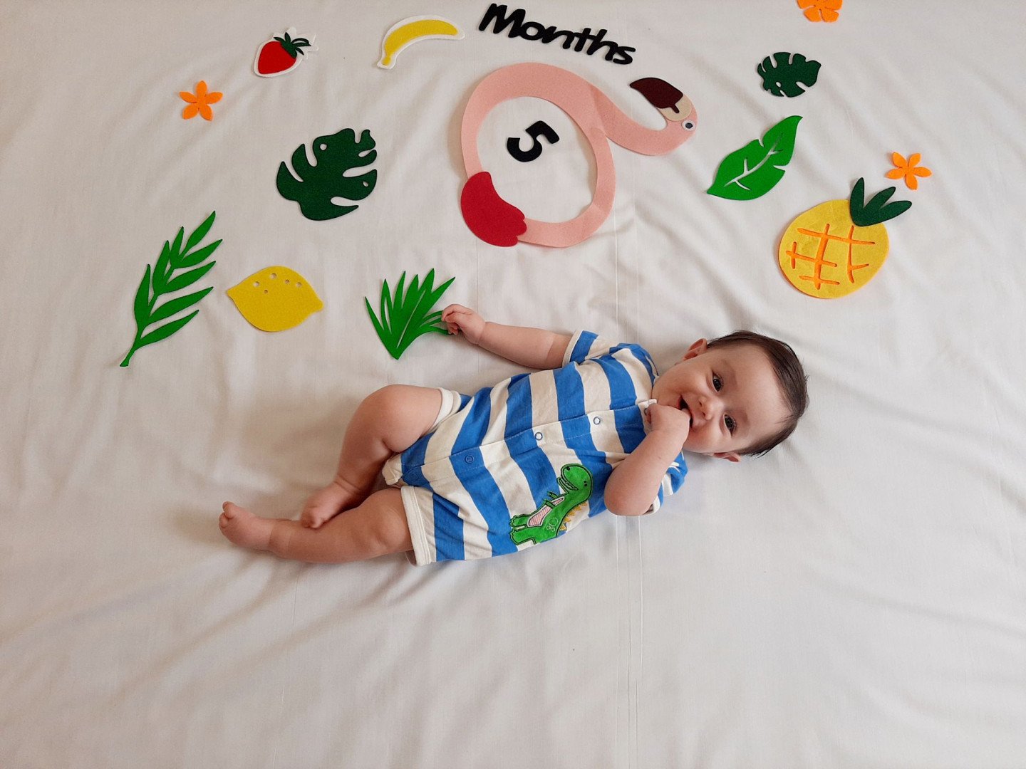 پنج ماهگی نوزاد برسام صالحی