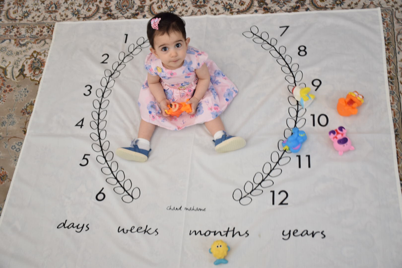 ده ماهگی نوزاد آوا پورمحمودي