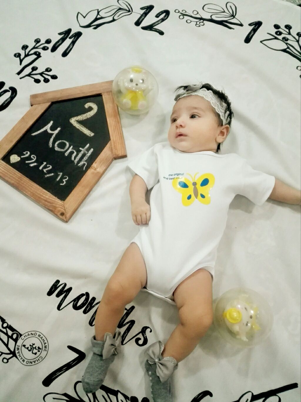 تخته-سیاه- آلونک-32580