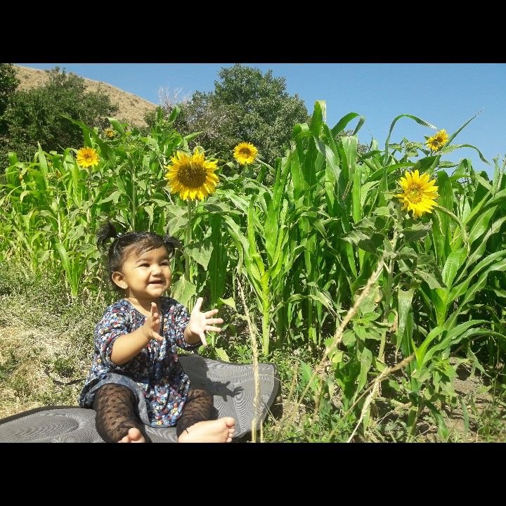 تم عکس تابستانی کودک ایه عرب پور