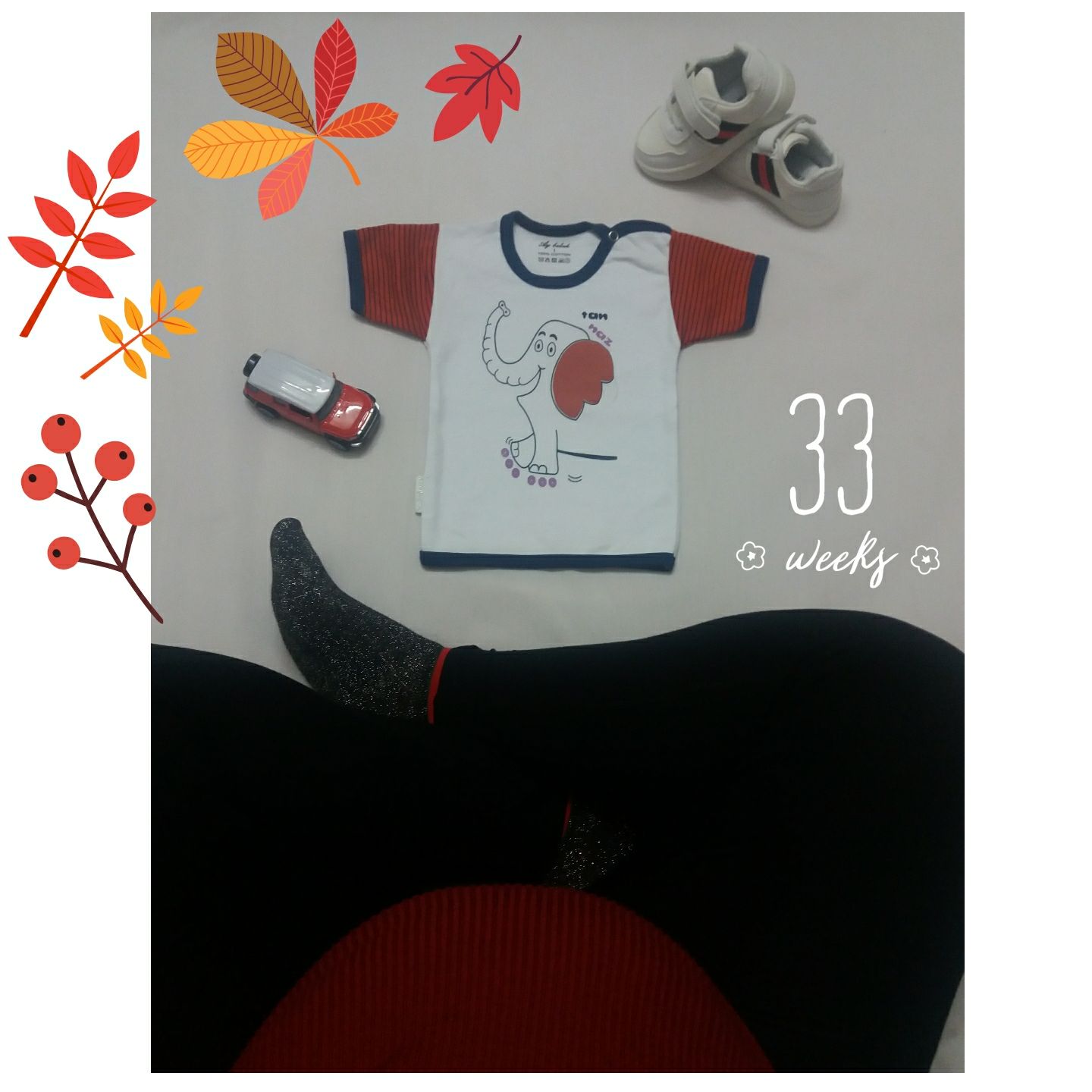 بارداری محمدصدرا صفری