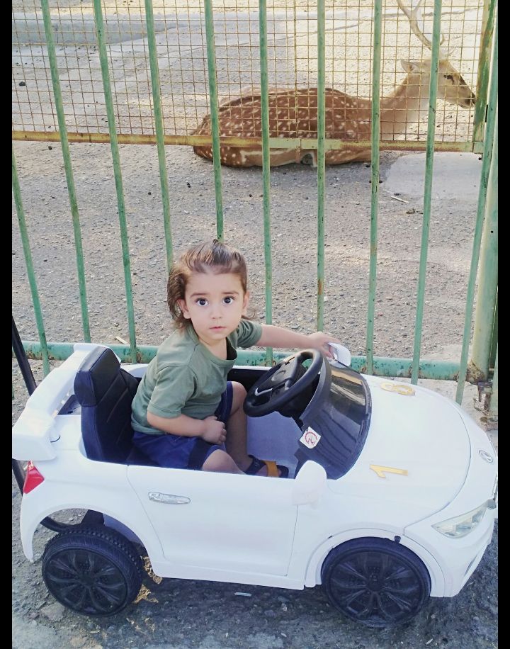 پانزده ماهگی کودک arsam.jon