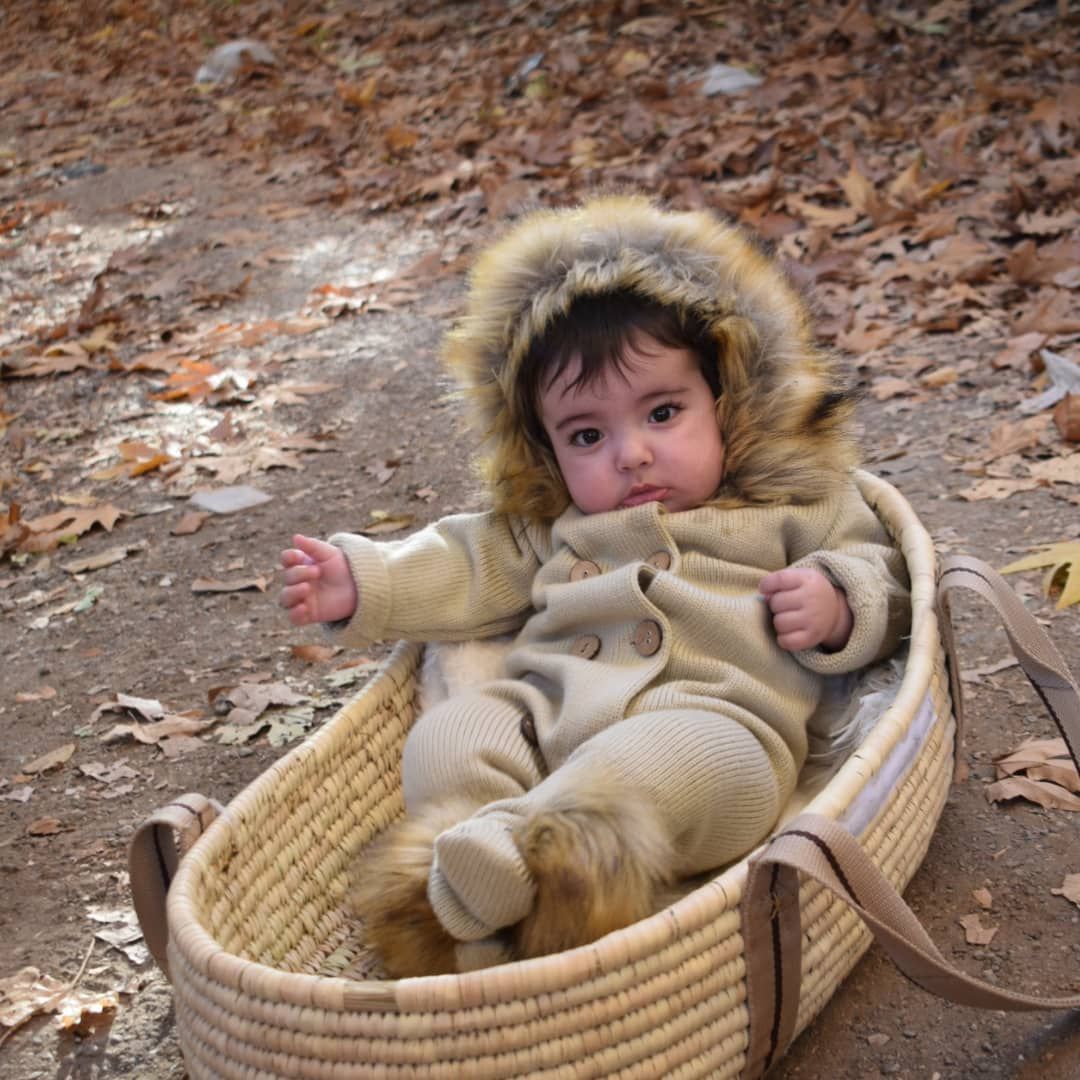 تم-پاییزی آدریَن شاپورجانی