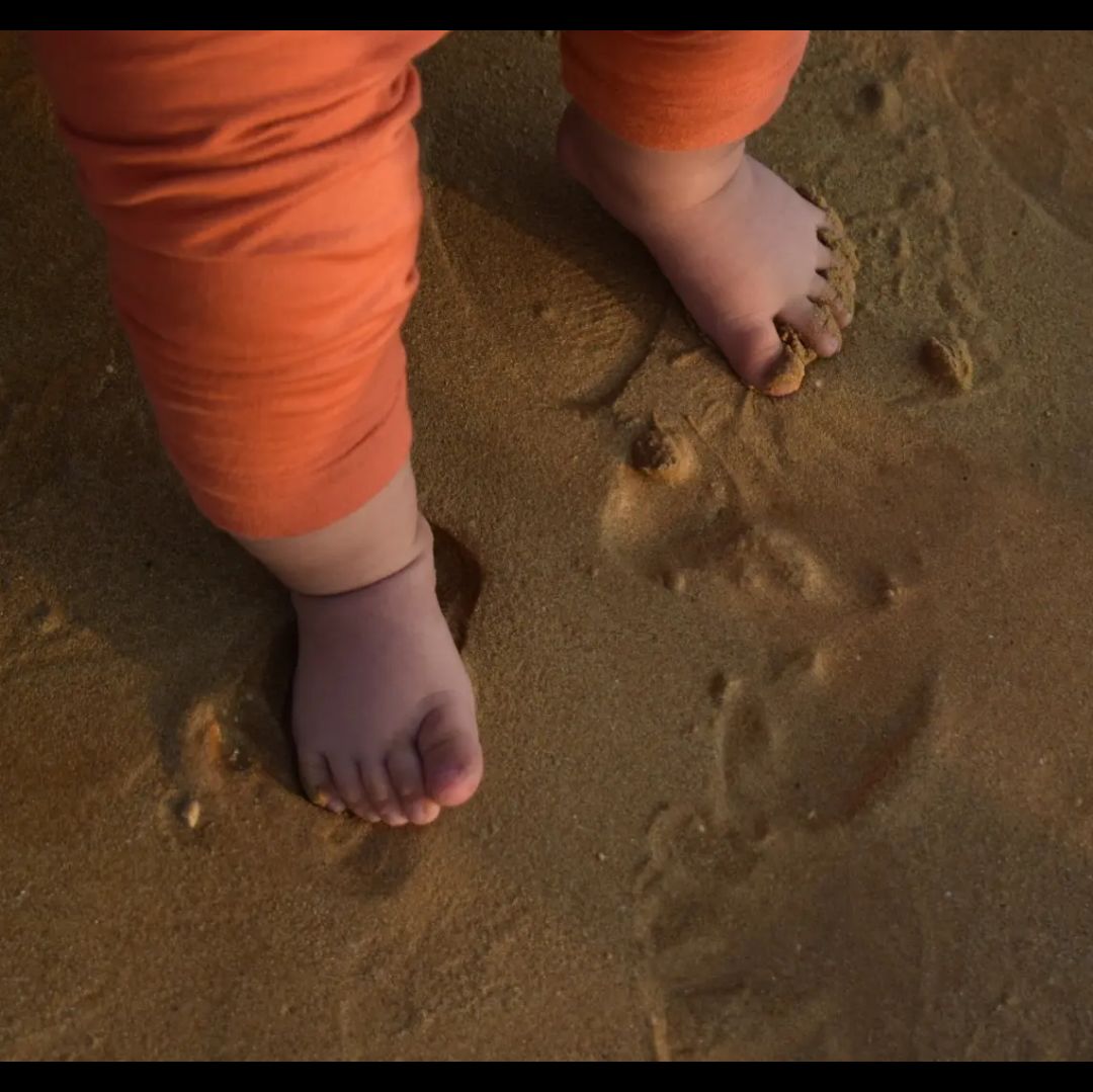 پا آدریَن شاپورجانی