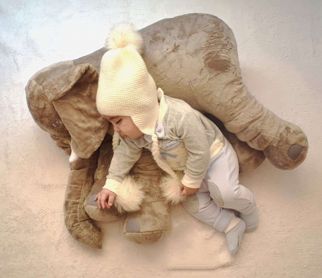 ایده آدریَن شاپورجانی