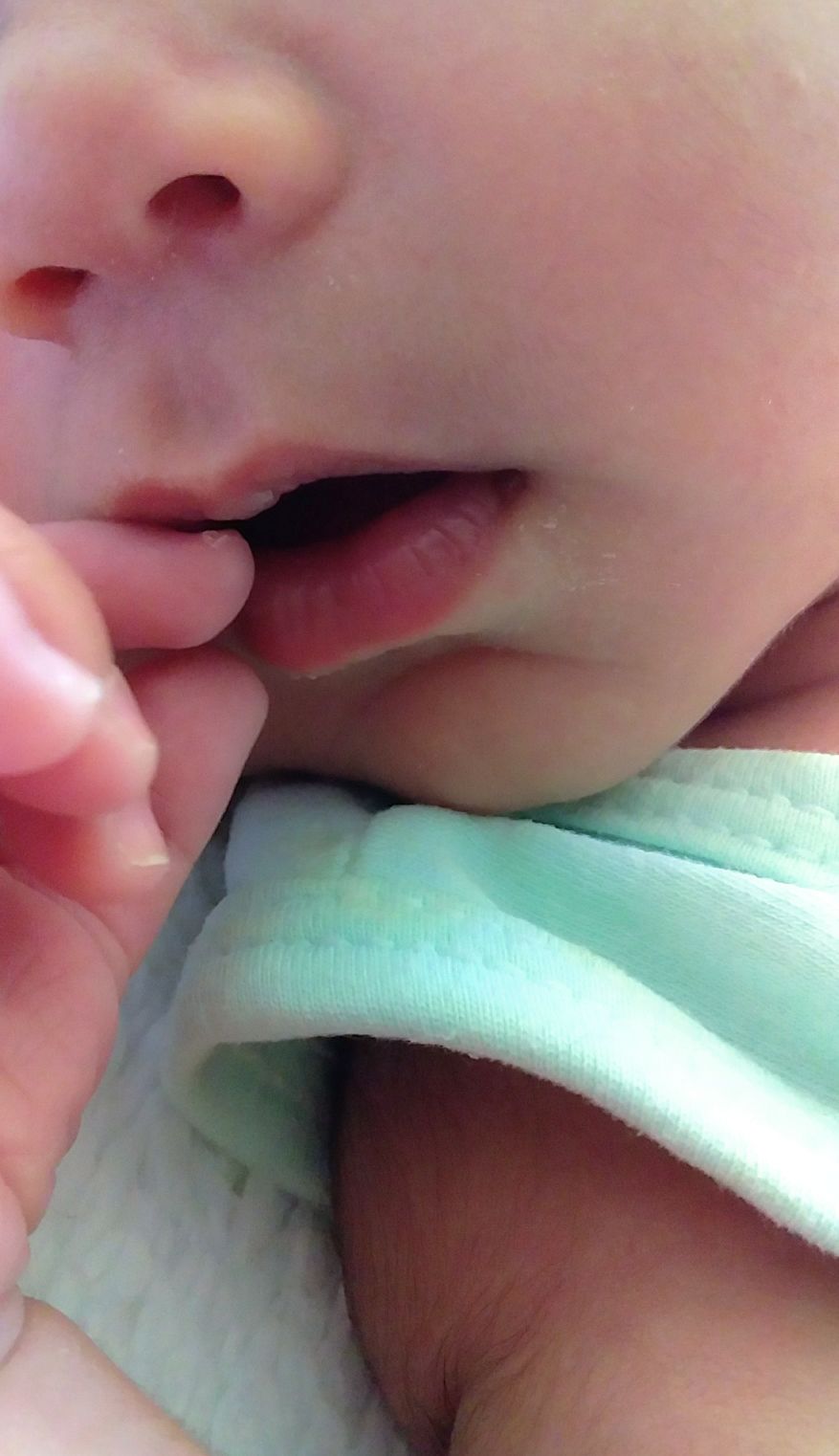 تم عکس بهاری کودک هیرمان حسینی