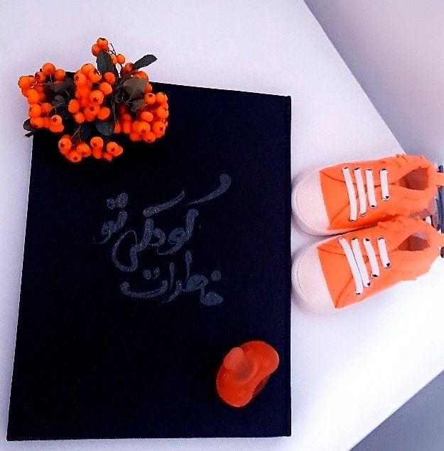 آلبوم خاطرات کودکی delvin