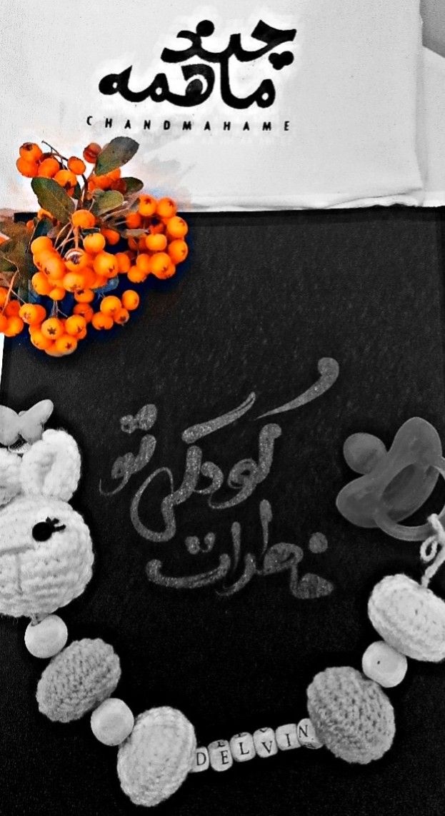 دفتر-خاطرات-کودکی delvin