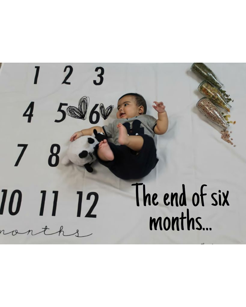 شش ماهگی نوزاد کوروش عنابستانی