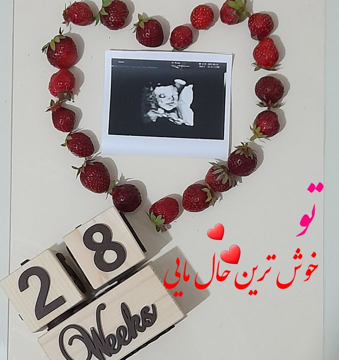 ماه ششم بارداری zahra ramzani?