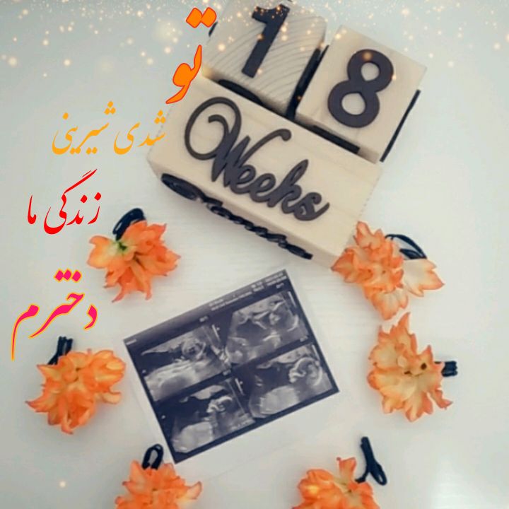 بارداری zahra ramzani?