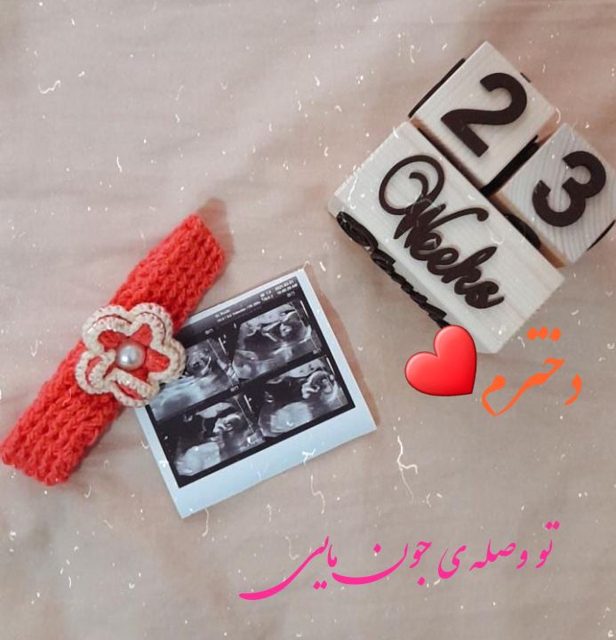 ماه ششم بارداری zahra ramzani?