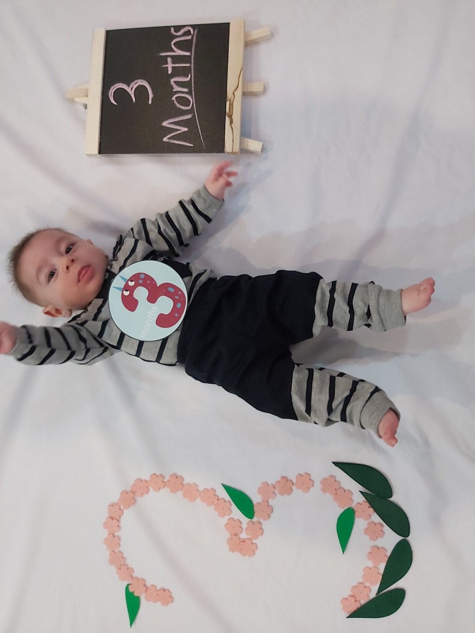 ریسه و شکوفه بهاری سید امیرسام کرداسی