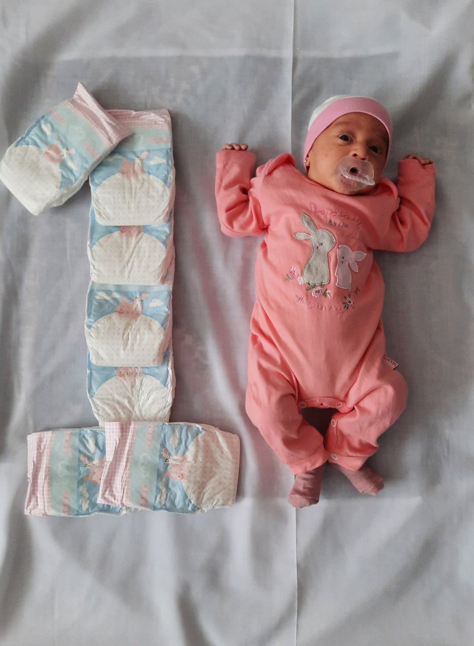 ماه رمضان حلما ندافت